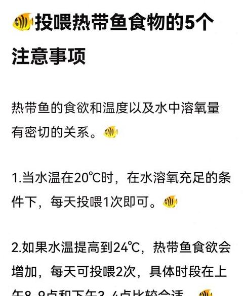 热带鱼喂养指南：喂食时间与适宜食物选择
