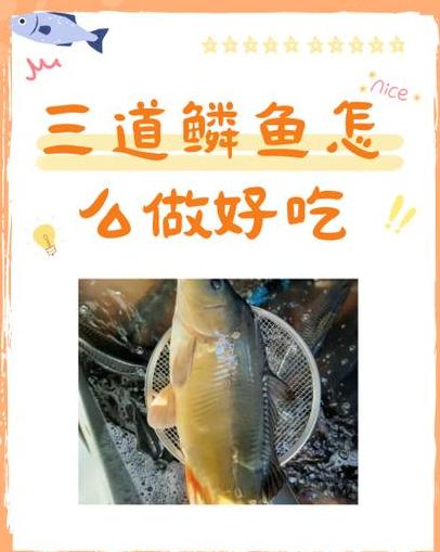清蒸三道鳞：蒸出鲜美，解锁多种美味吃法